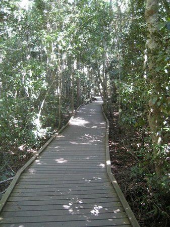 Gold Coast Hinterland Great Walk